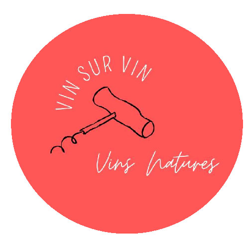 Logo VIN SUR VIN